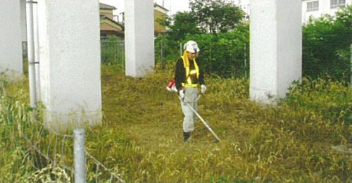 手作業による除草作業