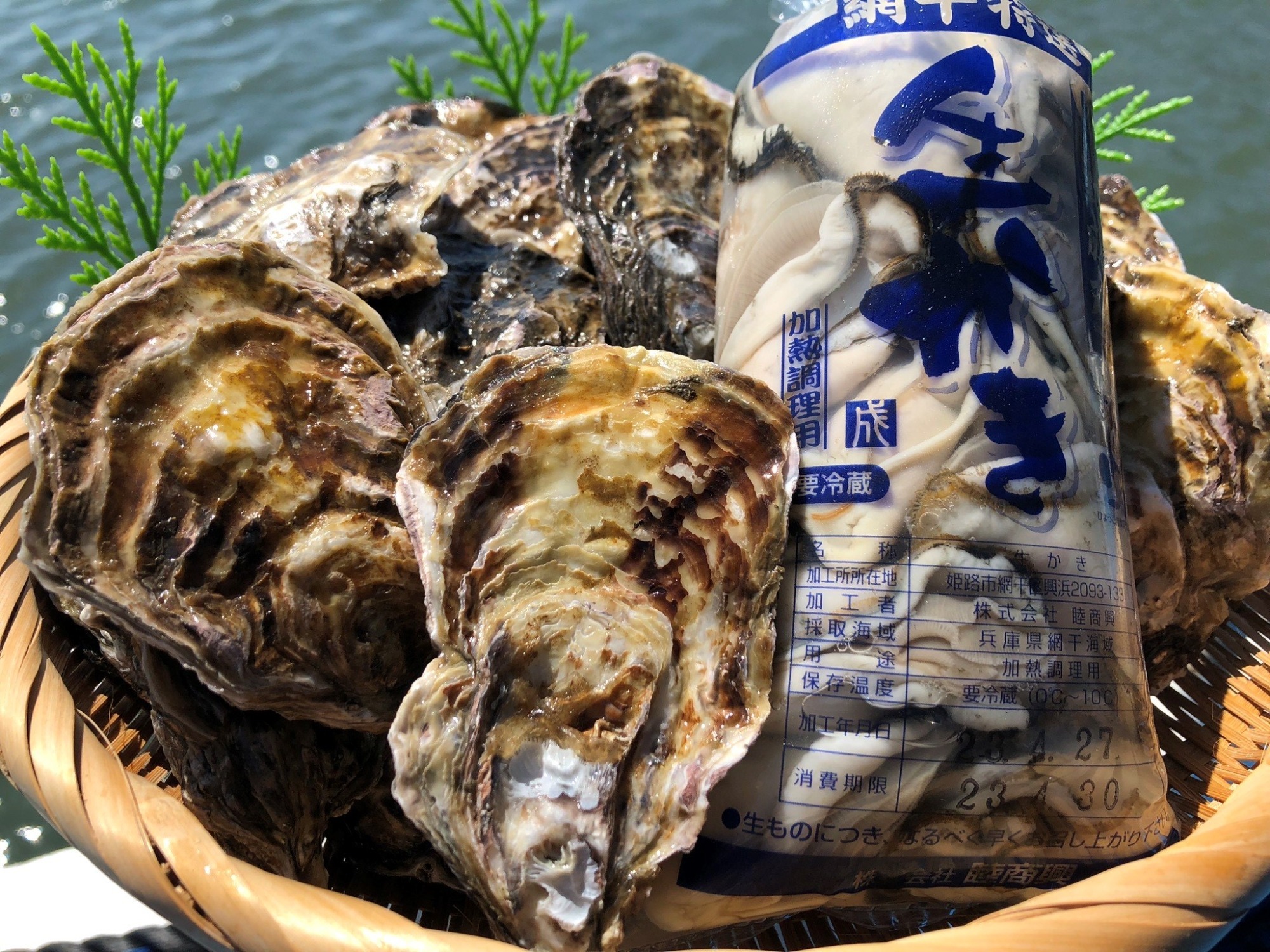 オイスターキッチン勤成丸